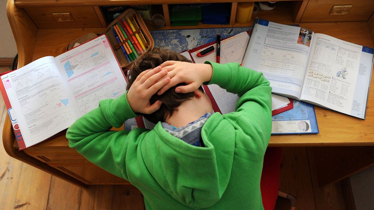 Le stress et les pressions subis par les enfants et les jeunes.  [Thomas Eisenhuth - DPA/AFP]