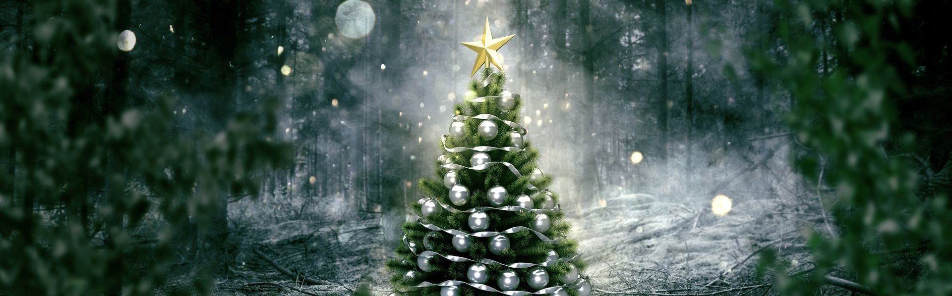 Le sapin de Noël, l'un des symboles des fêtes de fin d'année dans le monde chrétien. [lassedesignen - Fotolia]
