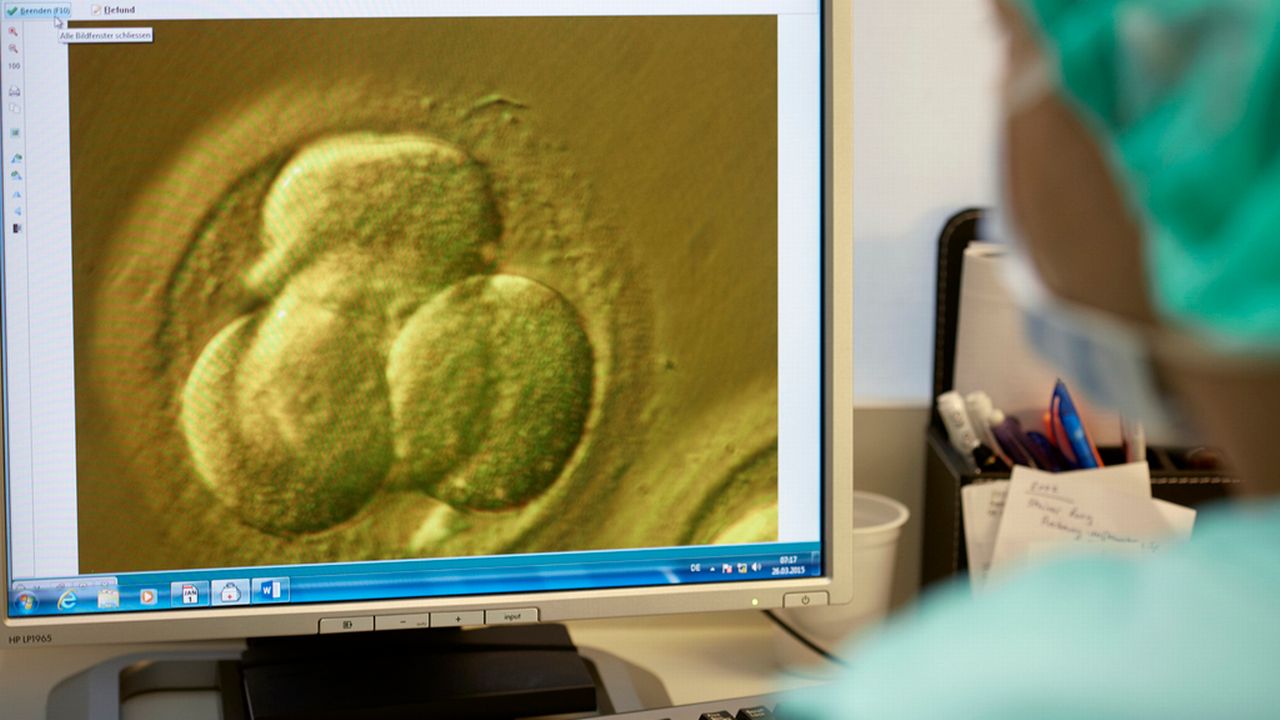 L'employé d'un centre de procréation assistée à Zurich observe l'évolution d'un embryon qui doit être implanté. [Gaëtan Bally - Keystone]