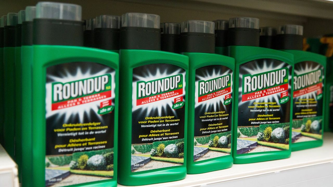 Des bouteilles de l'herbicide Roundup de la firme Monsanto, dont le principe actif est le glyphosate. [Stéphanie Lecocq - Keystone]