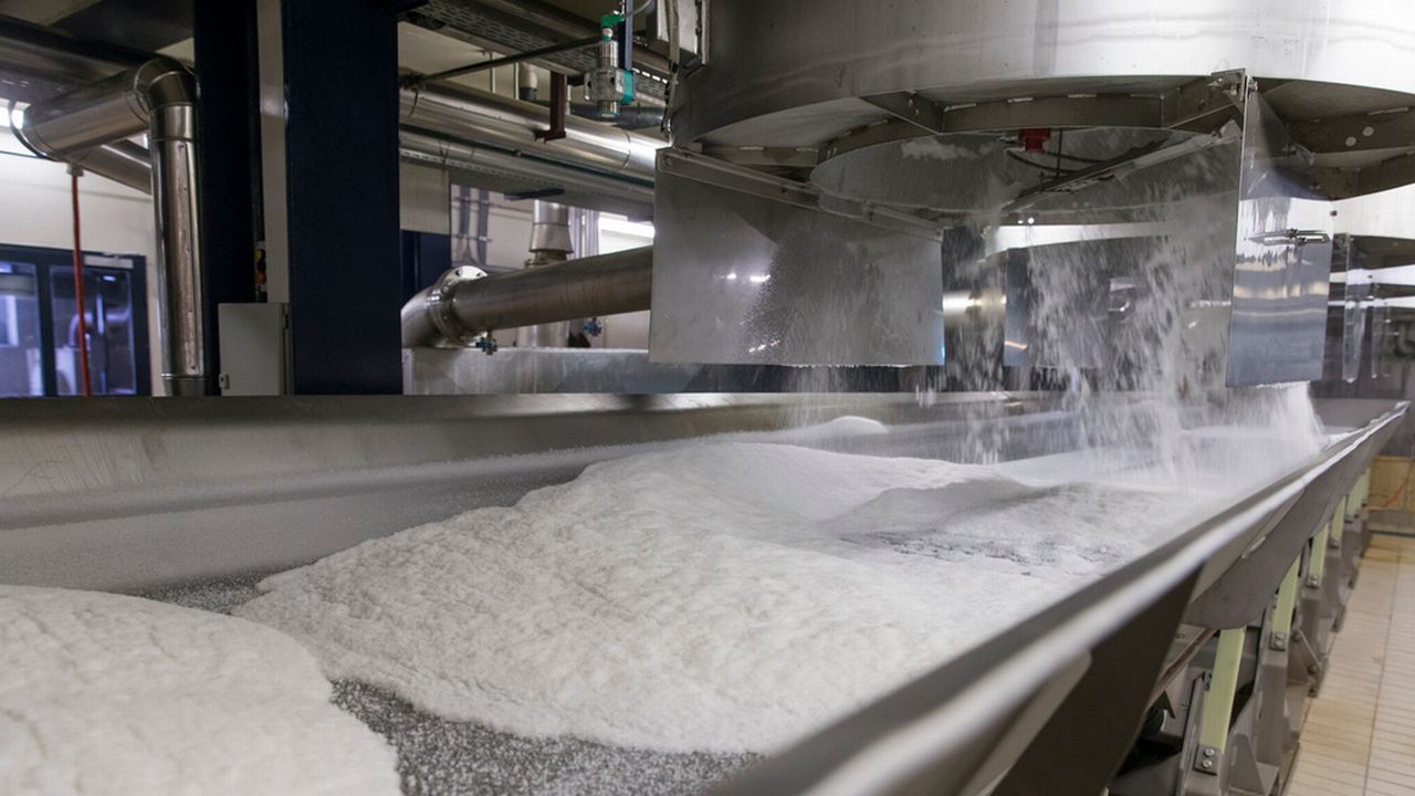 Du sucre sur une chaîne de production à l'usine d'Aarberg (BE). [Peter Klaunzer - Keystone]