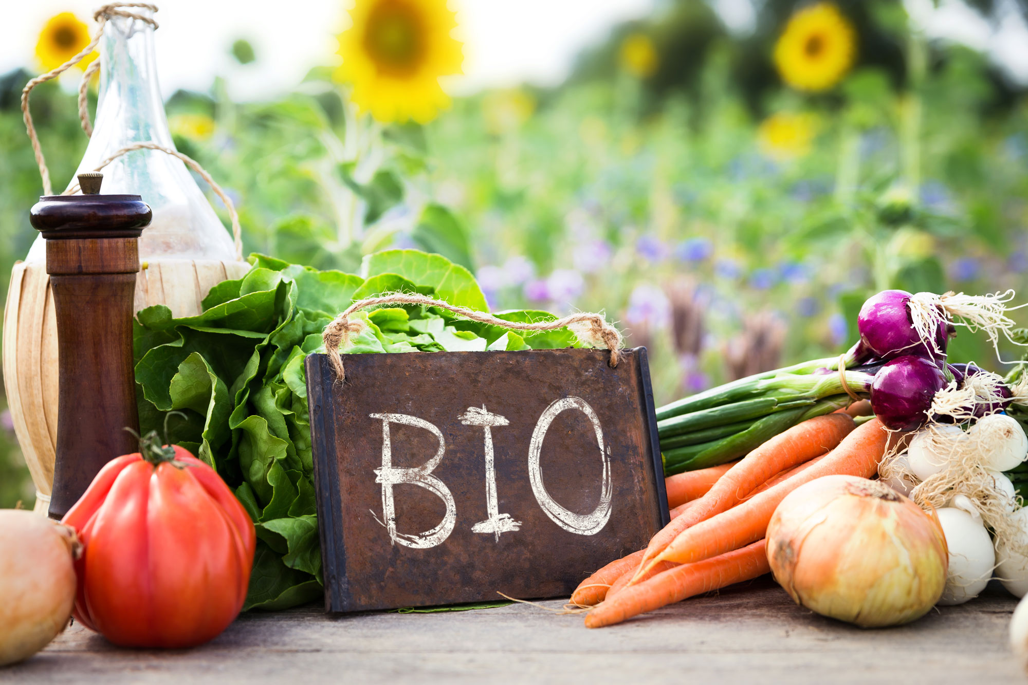 Les produits bio sont-ils plus sains que les autres?