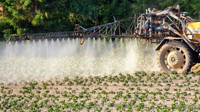 Un agriculteur épandant des pesticides sur un champ de patates. Image d'illustration. [Philippe Huguen - AFP]