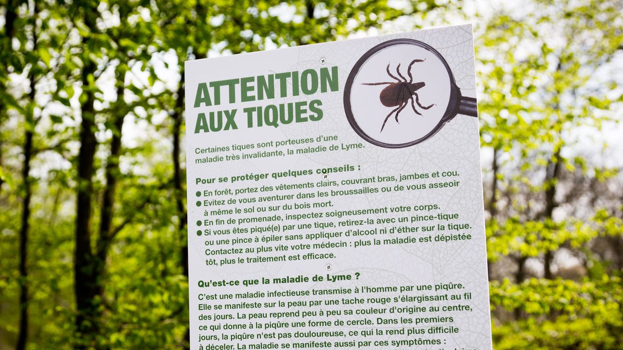 Affiche d'information et de prévention sur les tiques, en France. [GARO / Phanie - AFP]
