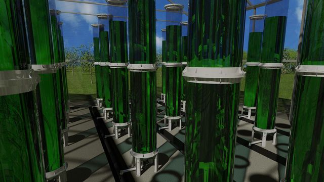 Eniol Bioenergies produit des algues à Genève. [Didier Pradervand - RTS]