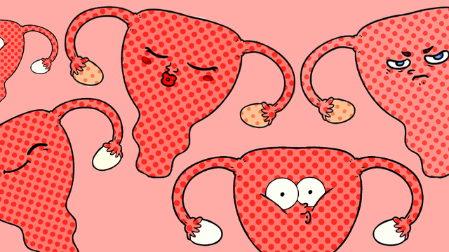 Le dossier sur le cycle menstruel sur RTS Découverte [Lineartestpilot - Fotolia]