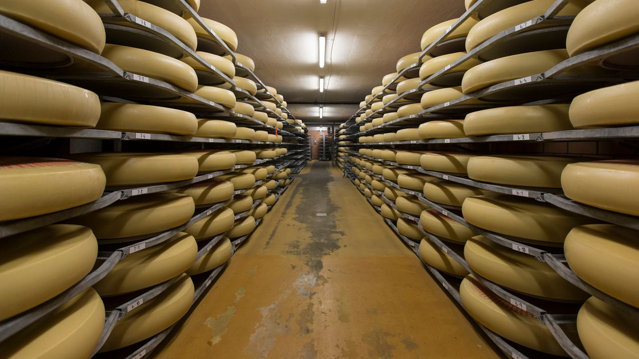 Des fromages Emmental en salle d'affinage. [Peter Klaunzer - Keystone]