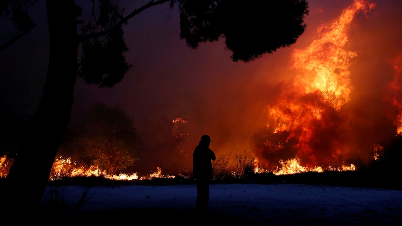 Les feux de forêt ont mobilisé plus d'un millier d'hommes et une quinzaine de moyens aériens au Portugal (image d'illustration). [Costas Baltas - Reuters]
