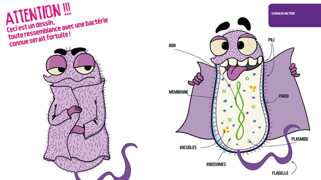Microbes [Jérômeuh - RTS Découverte]