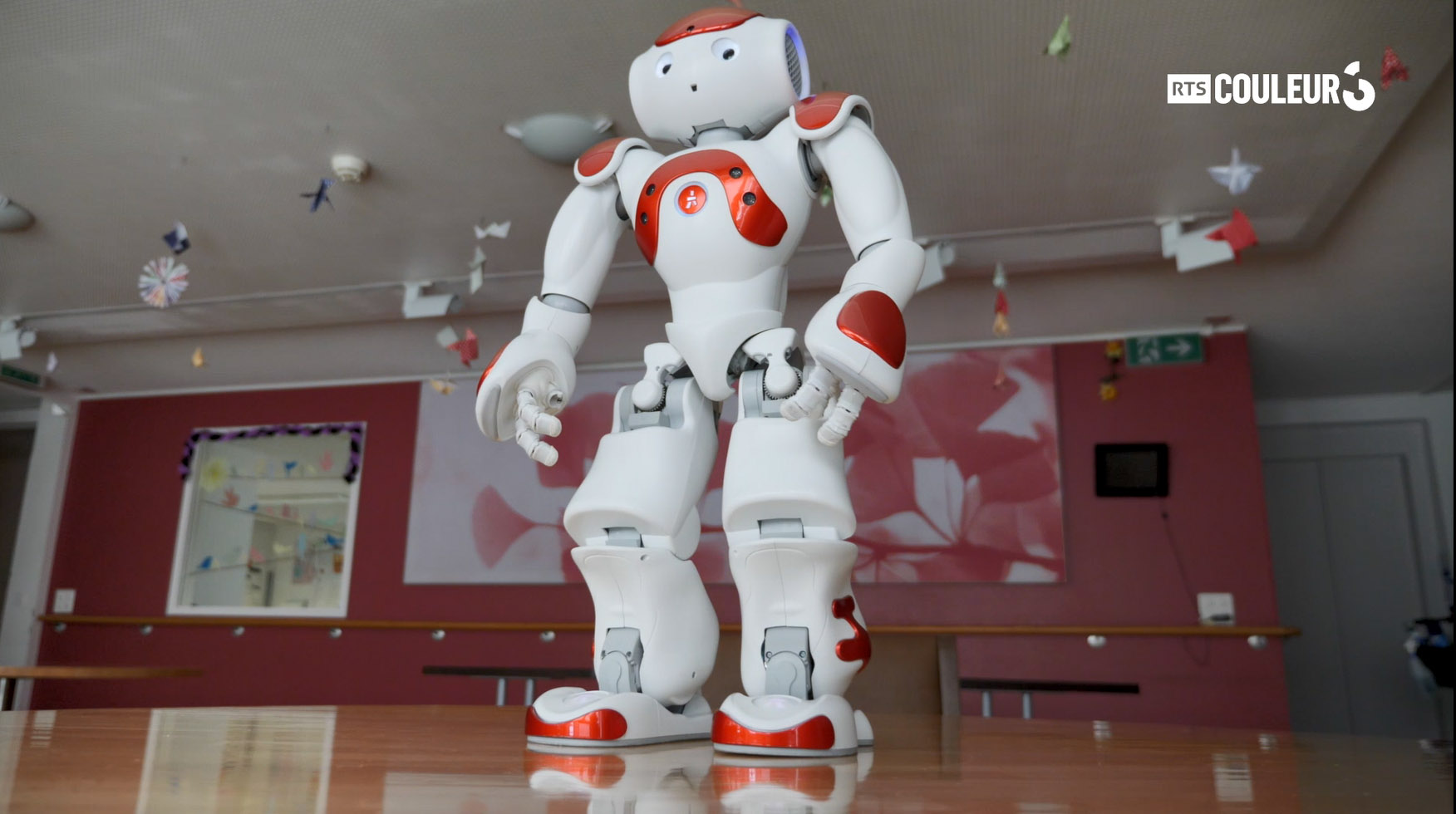 Espèce En Voie d'Evolution - Les robots en EMS