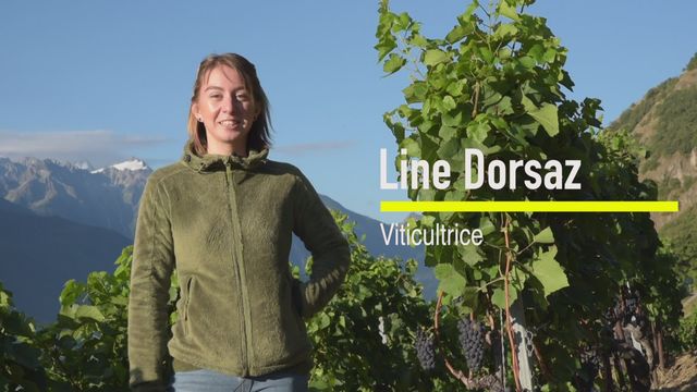 Line dorsaz, viticultrice [RTS]