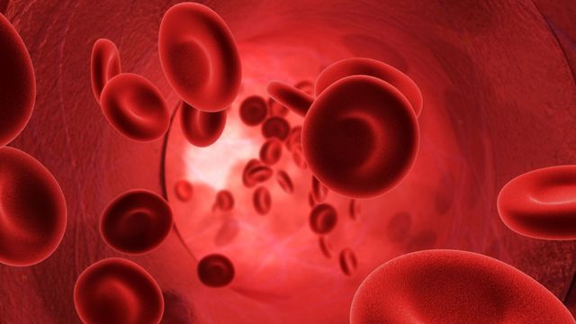 Le sang est le liquide le plus important du corps humain. [michelangelus  - Fotolia]
