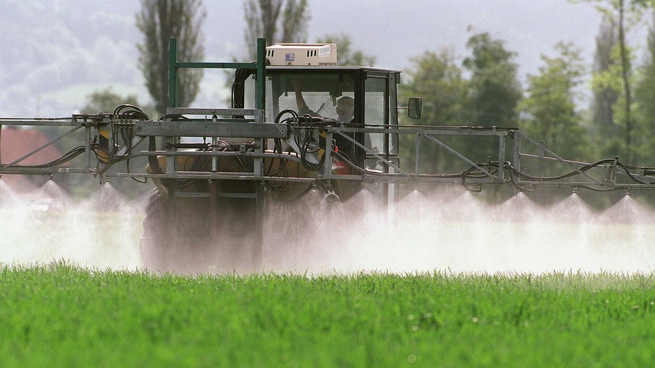 L’Etat du Valais et les organisations professionnelles agricoles ont élaboré un plan d’action cantonal sur les produits phytosanitaires. [Arno Balzarini - Keystone]
