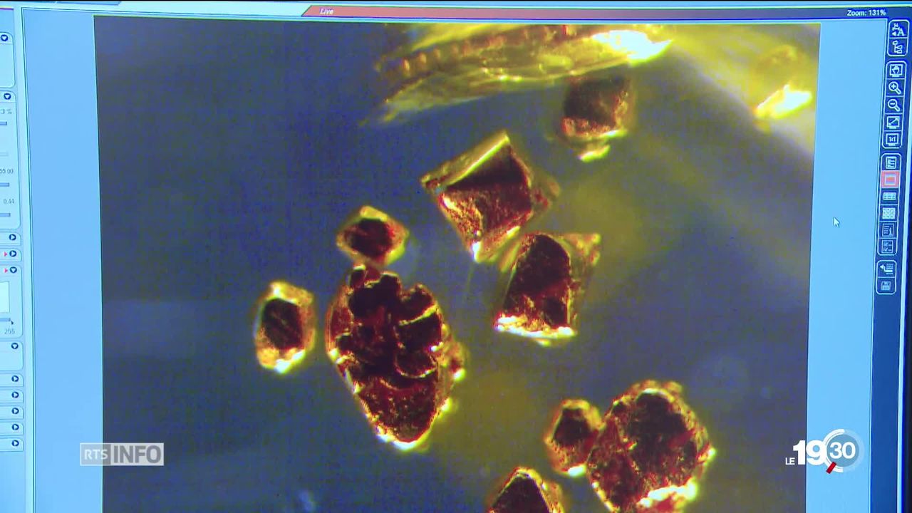 Une découverte de l'EPFL permet de capturer de l'or dans de grandes quantités de liquides. Jusque dans nos égouts [RTS]