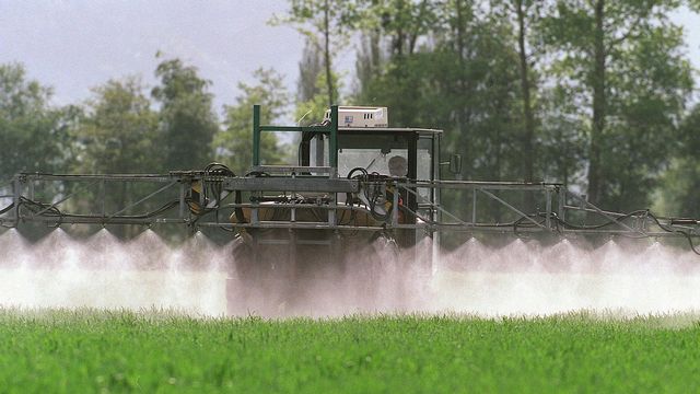 Alors que les ventes sont en baisse, faut-il encore interdire les pesticides? [Arno Balzarini - Keystone]