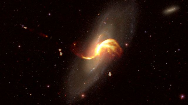La galaxie spirale M106 vue ici dans une image optique (issue du "Sloan Digital Sky Survey") superposée avec les émissions radio LOFAR (en jaune orangé).
Cyril Tasse/Observatoire de Paris
PSL/LOFAR [Cyril Tasse/Observatoire de Paris - PSL/LOFAR]