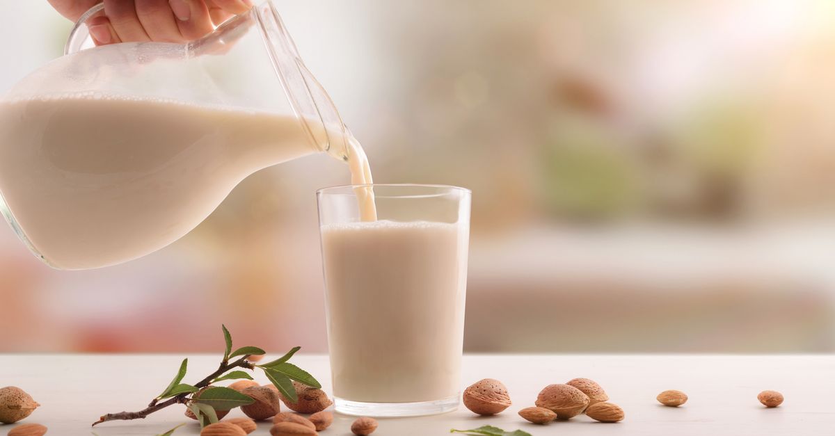 Le succès des laits végétaux : on vous dit tout sur ces alliés nutrition !  — Alterfood