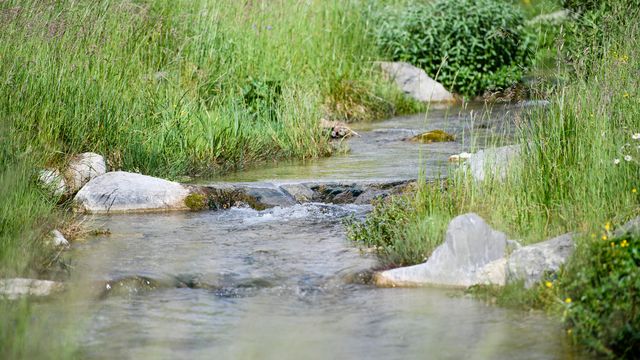 De nombreux ruisseaux sont pollués par des pesticides. [Manuel Lopez - keystone]