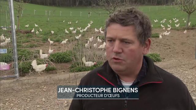 Le producteur Jean-Christophe Bignens détaille les contraintes du label bio pour la production d’œufs. [RTS]