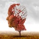 Repenser Alzheimer et Co - Montessori en EMS [RTS]