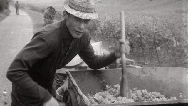 Vigneron avec une fouleuse pour les raisins en 1968 à Neuchâtel. [RTS]