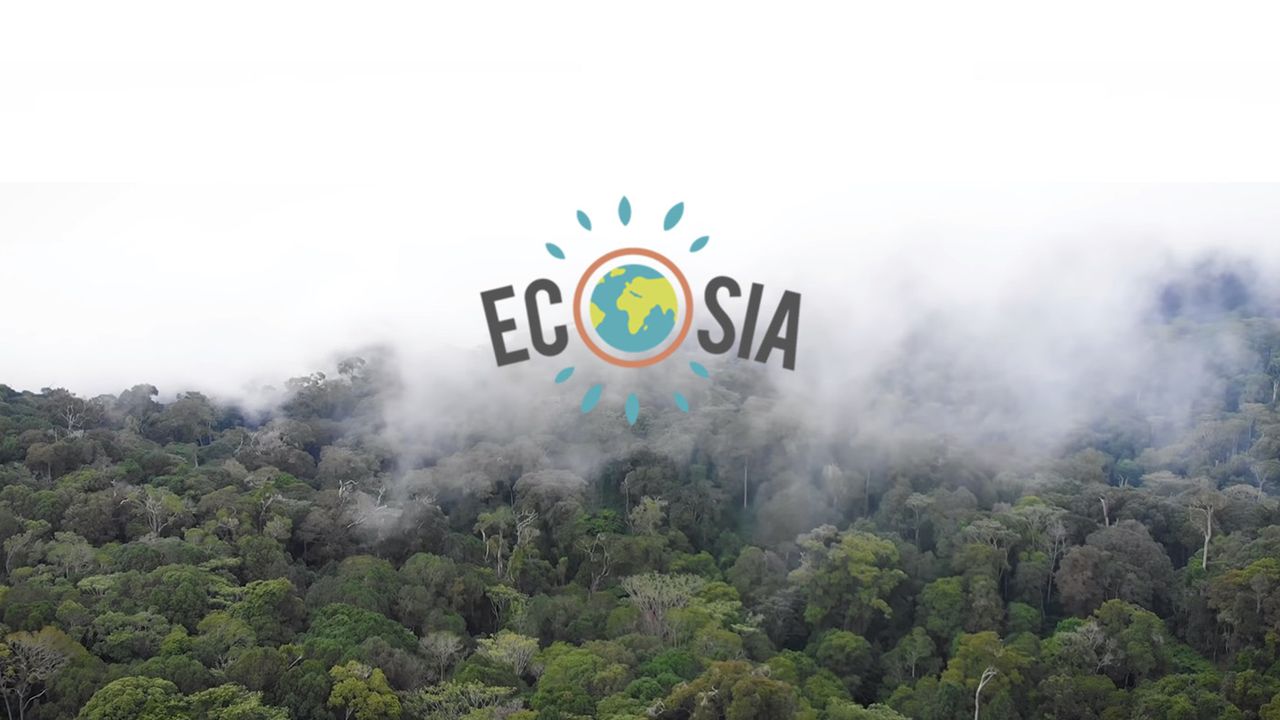 Ecosia reverse 80 % de ses bénéfices dans un programme de reforestation présent partout dans le monde.