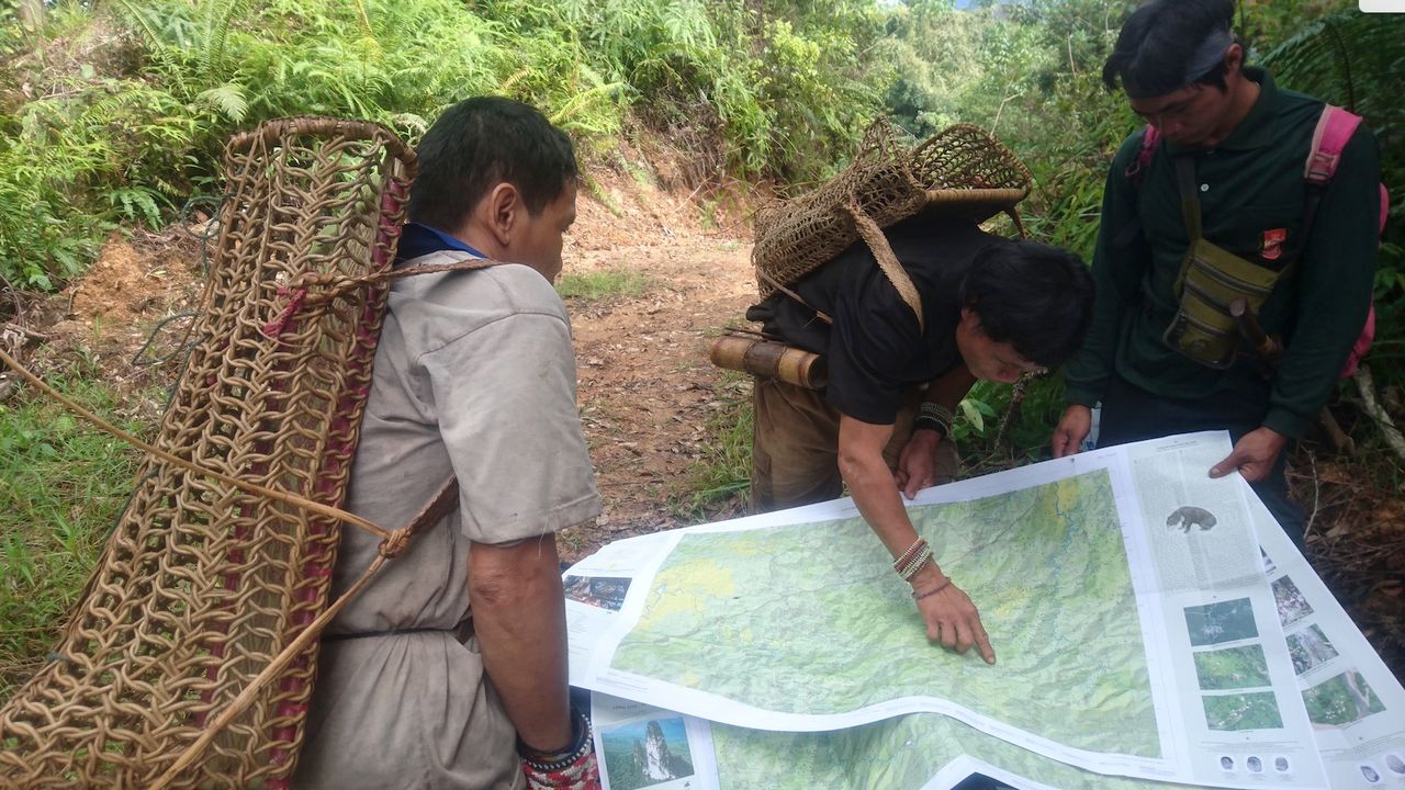 Utilisation des cartes sur le terrain par des chasseurs Penan. [Bruno Manser Fonds ]