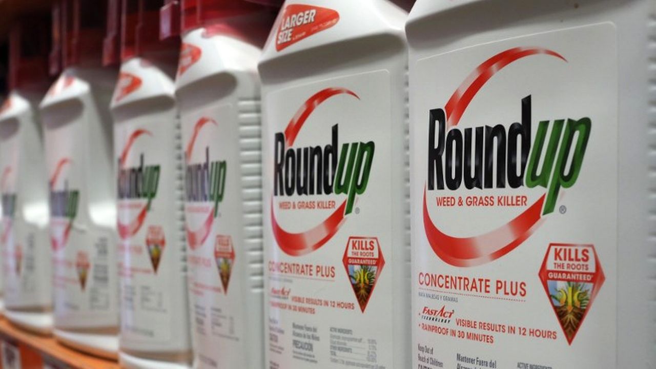 Monsanto fait face à des dizaines de milliers de procédures aux Etats-Unis. [Robyn Beck  - AFP]