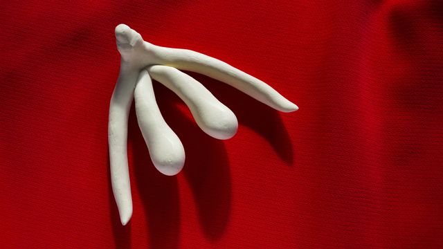 Un clitoris imprimé en 3D.
josekube
Depositphotos [josekube - Depositphotos]