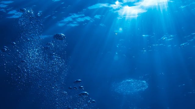 Les océans souffrent d'une perte en oxygène.
vitaliy_sokol
Depositphotos [vitaliy_sokol - Depositphotos]