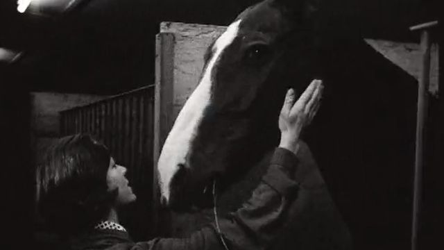 La cavalière Monika Bachmann en 1967. [RTS]