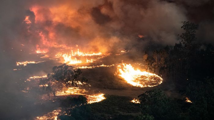 Résultat de recherche d'images pour "feu de brousse australiens"
