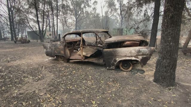 Degats causes par les incendies en australie [RTS]