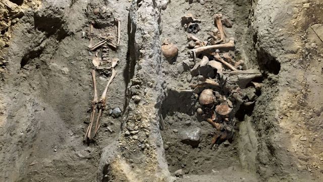 Les squelettes découverts sous la Collégiale de Neuchâtel. [Ville de Neuchâtel - RTS]