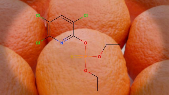 La structure moléculaire de l'insecticide chlorpyrifos. [Juan Gaertner - Science Photo Library / JGT]