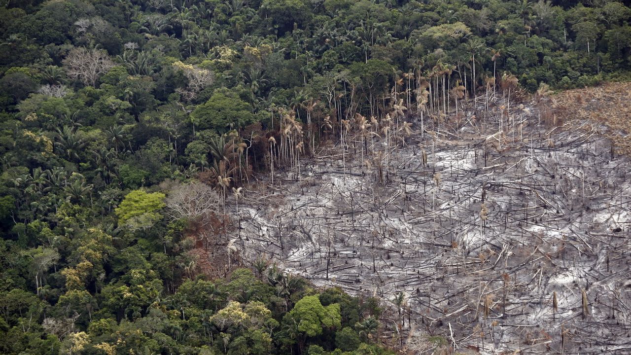 Une parcelle victime de déforestation dans le Parc national de Tinigua, en Colombie, le 22 février 2020. [Mauricio Duenas Castaneda - Keystone/epa]