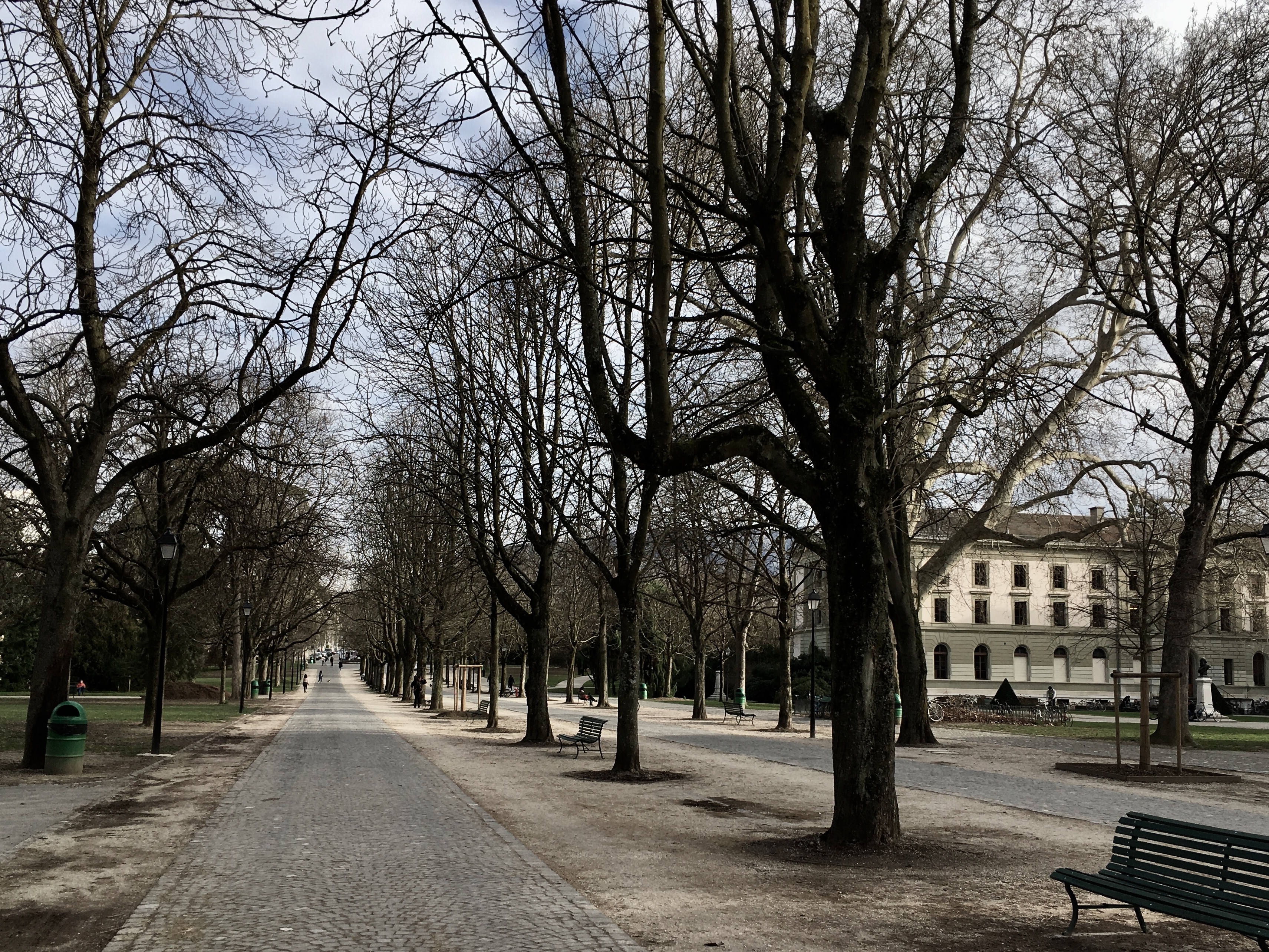 Une vue de la promenade du parc des bastions à Genève.