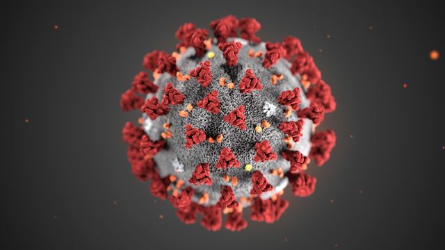 La modélisation en 3D du nouveau coronavirus. [Centers for Disease Control and Prevention - Keystone]
