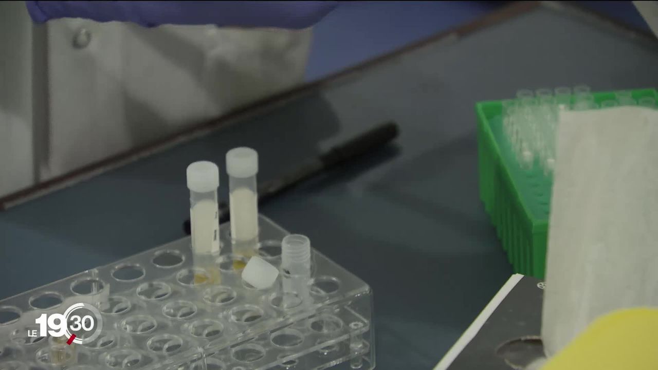 Les tests d'immunité contre le coronavirus sont lancés par des hôpitaux universitaires en Suisse. [RTS]