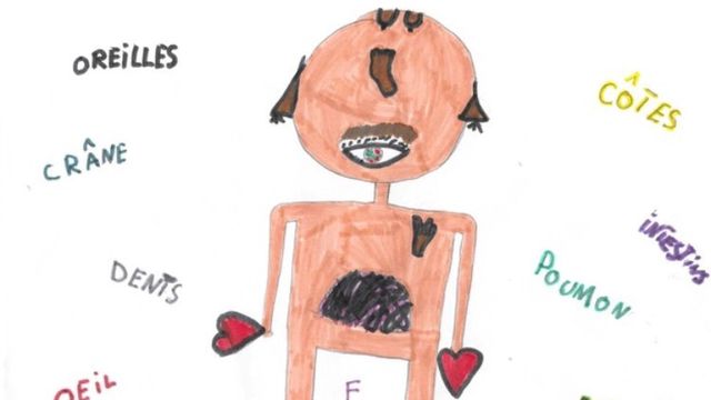 "Organes" par Lou, 8 ans. [Lou]