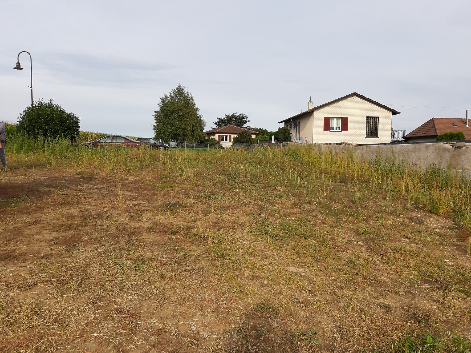 Transformation d'un terrain nu en prairie fleurie à Montagny-près-Yverdon.