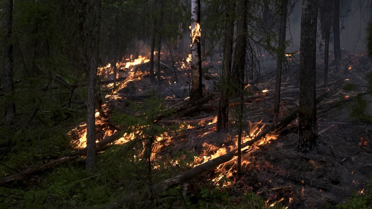 Un feu de forêt en Sibérie (image d'archive). [Sergey Stroitelev - AFP/Sputnik]