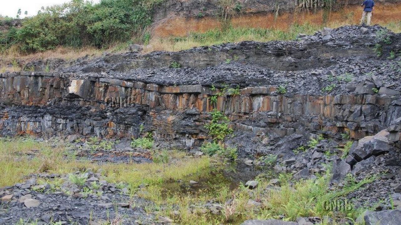 Sur ce site fossilifère gabonais, près de Franceville, ont été découverts dans des sédiments vieux de 2,1 milliards d'années.
Frantz OSSA OSSA
CNRS Photothèque [Frantz OSSA OSSA - CNRS Photothèque]