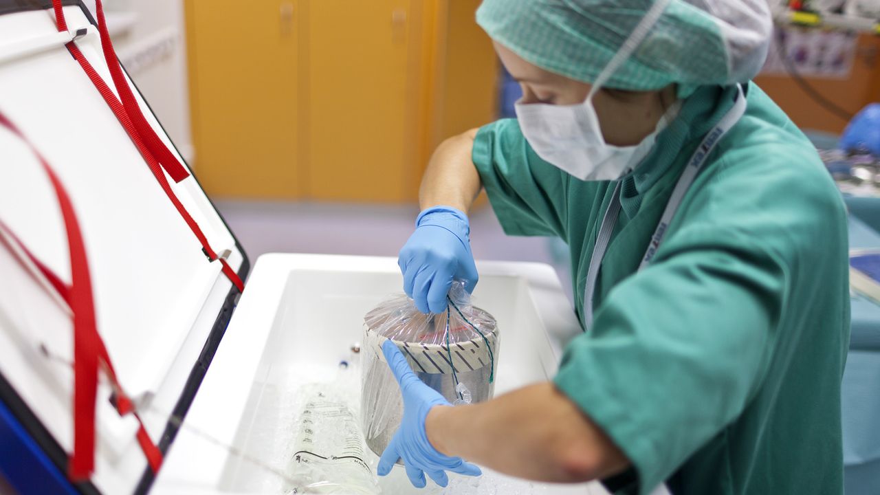 Une boîte contenant le coeur d'un donneur manipulée dans un hôpital de Zurich en 2011. [Gaetan Bally - Keystone]