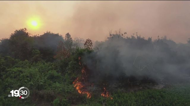 D'énormes incendies consument l'Amazonie [RTS]