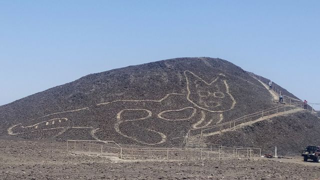 Le géoglyphe de chat mis au jour récemment à Nazca, au Pérou. [Jhony Islas/Peru's Ministry of Culture - Nasca-Palpa via AP
 - Keystone]