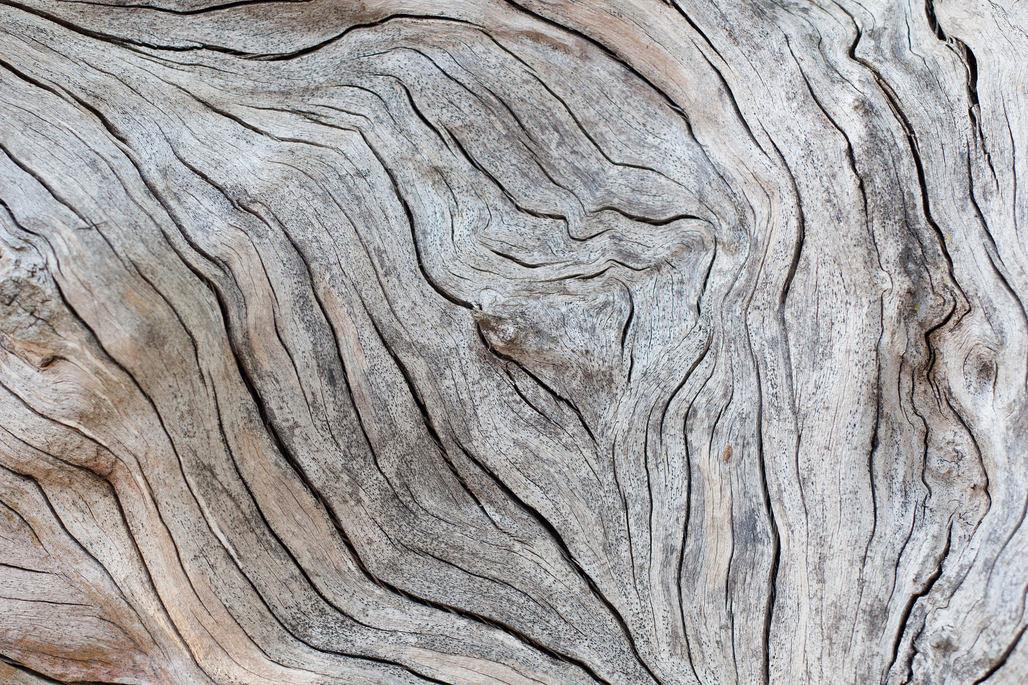 Texture d'un morceau de bois.