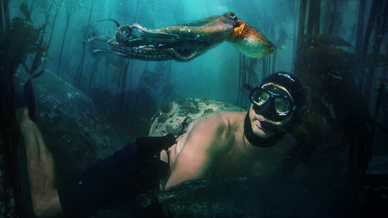 Image du film documentaire "La sagesse de la pieuvre". [Netflix]