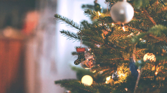 Comment entrer en contact avec l'esprit de Noël? 12 initiatives originales pour la période des fêtes. [Wirestock - Depositphotos]