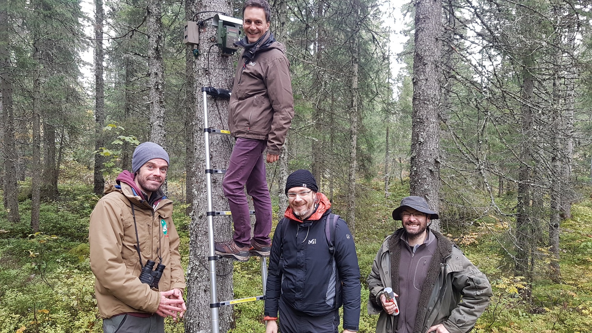 Immersion au cœur de la forêt du Risoux dans le Jura pour entendre toute sa biodiversité avec Jérôme Sueur, Frédéric Sebe, Julien Barlet et Sylvain Haupert.
